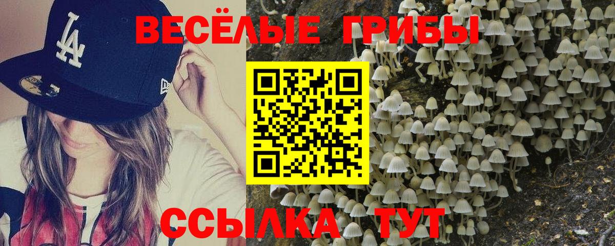Псилоцибиновые грибы мухоморы Смоленск