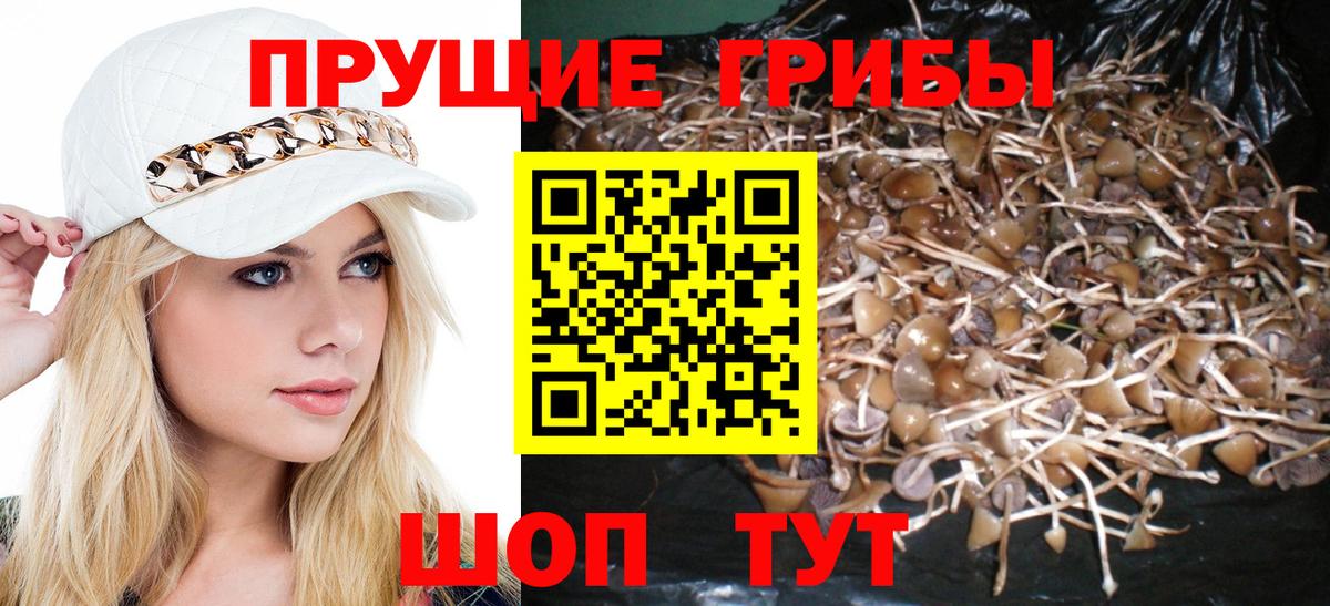 Псилоцибиновые грибы MAGIC MUSHROOMS  Вход с VPN  Смоленск 
